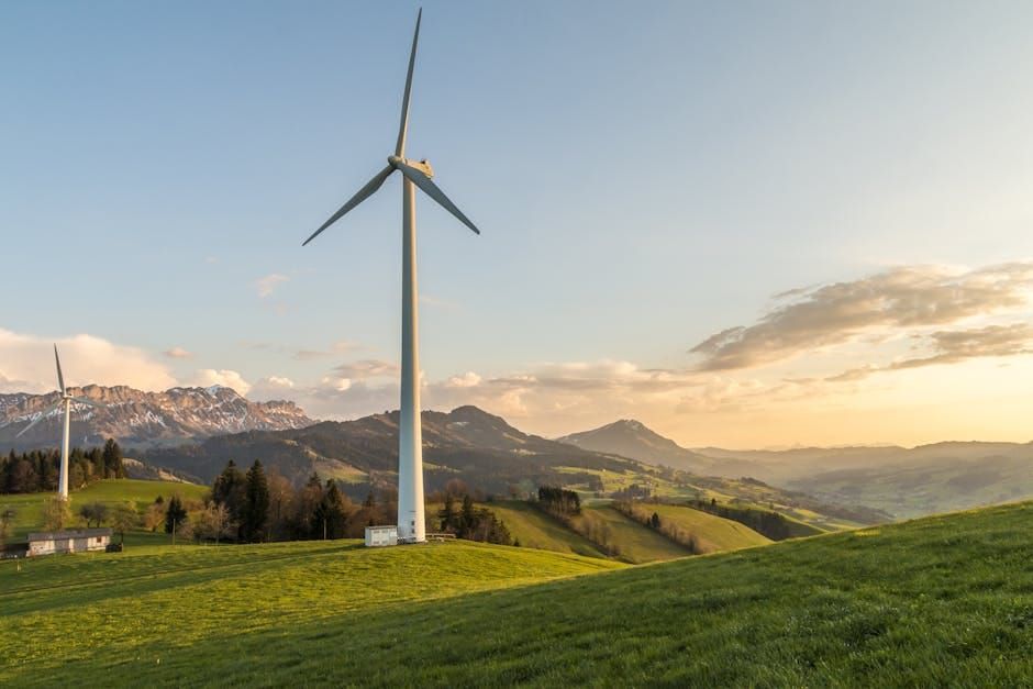 Decarbonisation UK Business