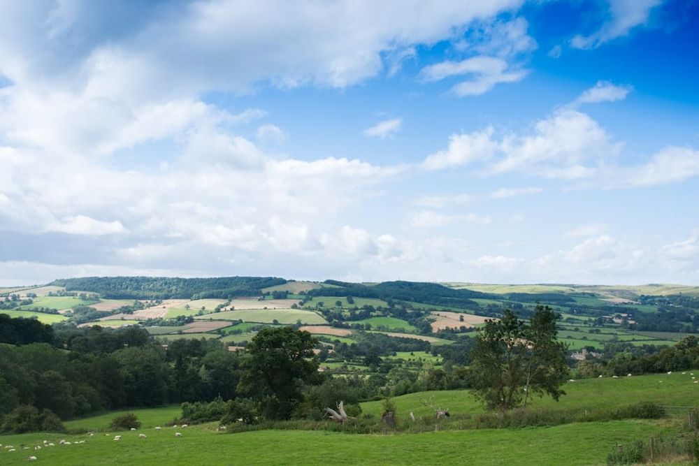 Green Business Energy UK: Genuine vs Greenwashed Tariffs