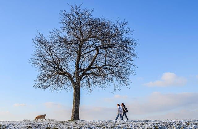 GROUNDS MAINTENANCE & WINTER SALTING — The Chief Constable for Devon and Cornwall Police | Bid intelligence