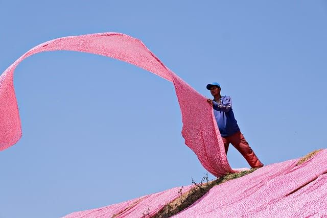 Changing Jobs on a Skilled Worker Visa: Rules and Process
