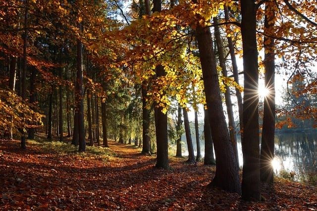 ​​Sywell Country Park Reservoir drawdown capacity improvement Project​ — North Northamptonshire Council | Bidding Guide 2026