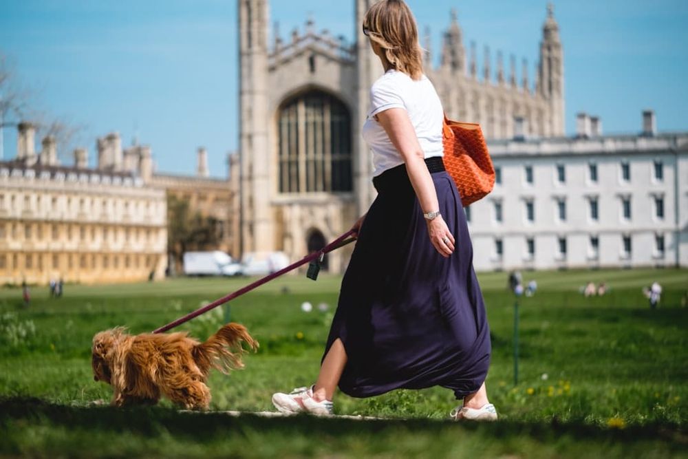 Tesco Pet Insurance UK 2026: Contact, Claims & Complaints Process