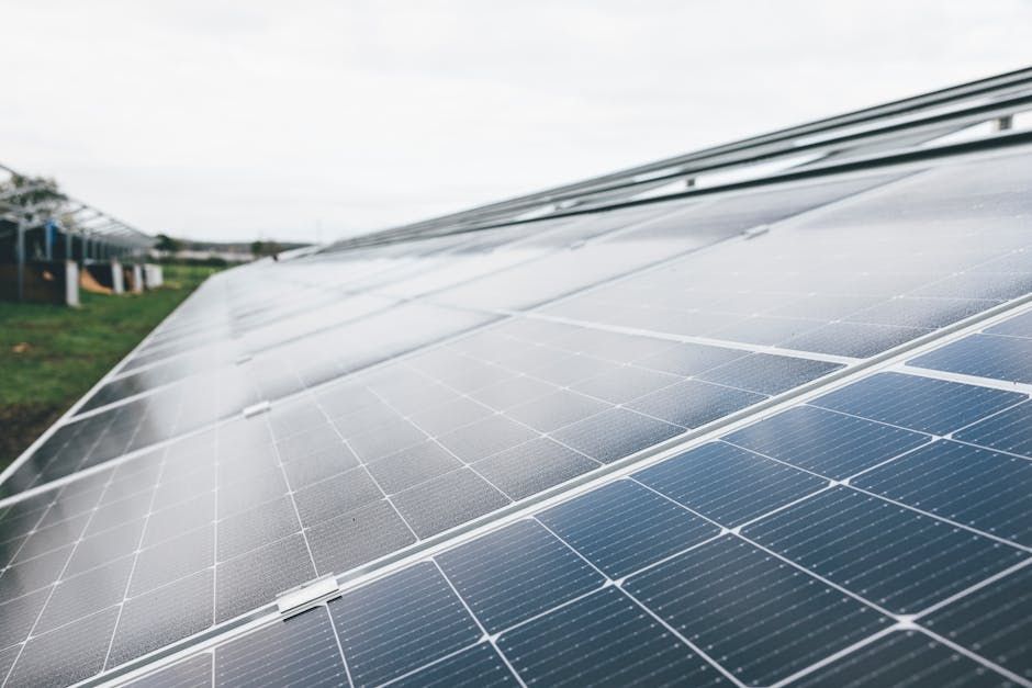 Net Zero Meaning UK Business