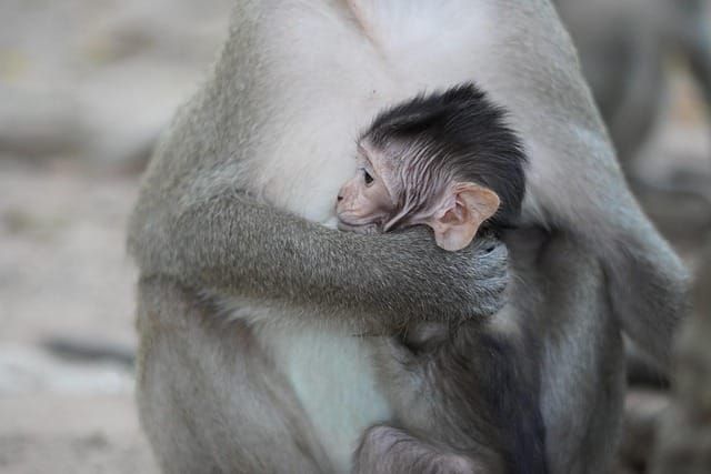 UK Shared Parental Leave Explained