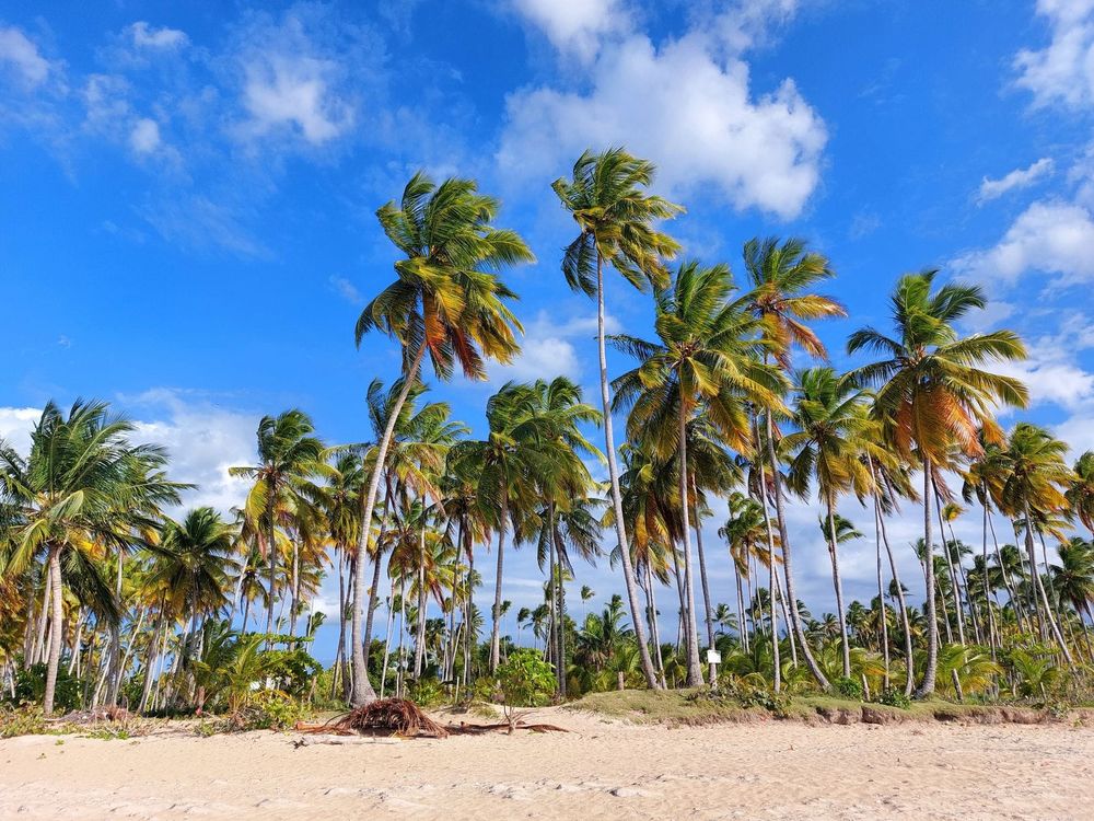 Best Travel Insurance for the Caribbean UK 2026