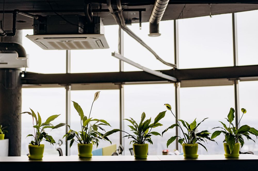 How to Compare Business Energy Suppliers in the UK