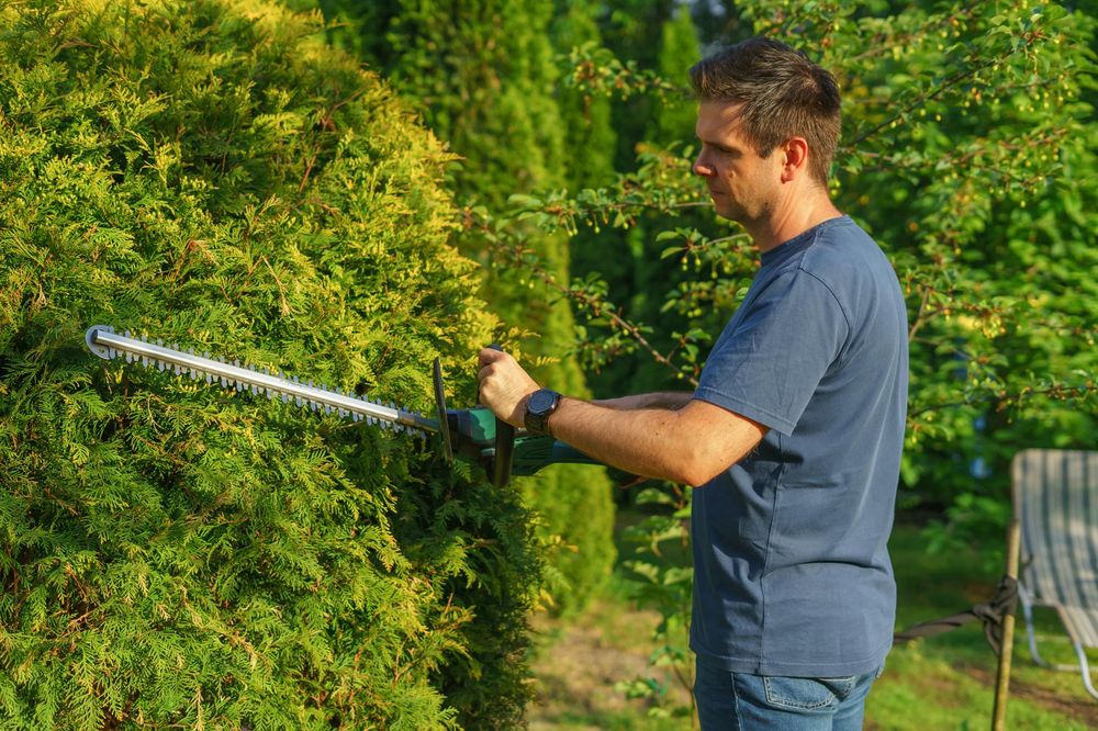 Public Liability Insurance for Gardeners UK: A Practical Guide