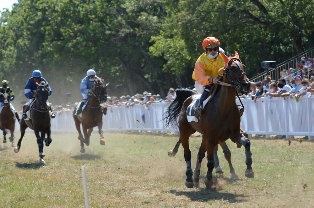 Are Horse Racing Winnings Taxable in the UK? HMRC Rules Explained