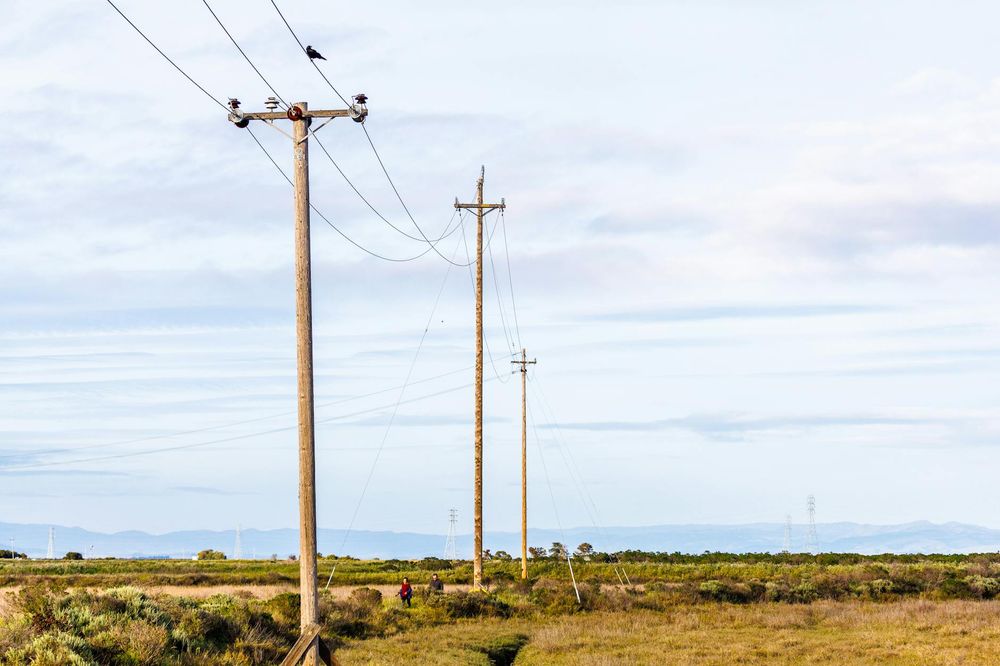 Pole Damage: Who to Contact About a Damaged Telephone Pole