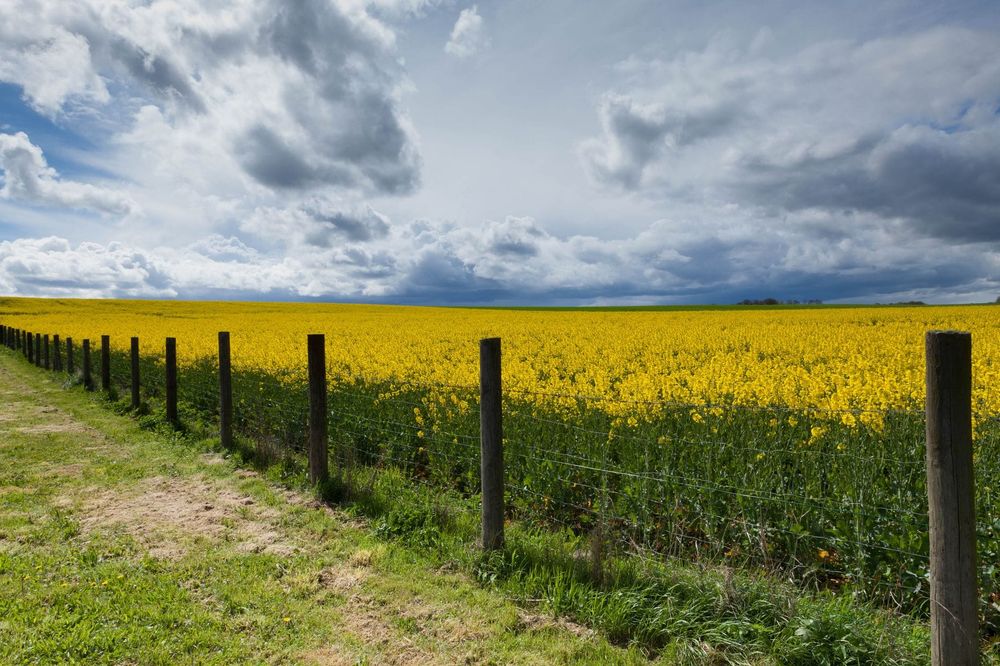 Wayleave Agreements for Telephone Poles: What Landowners Need to Know