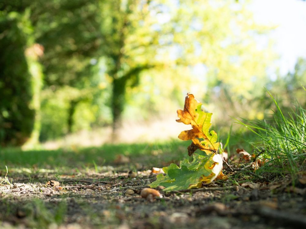 What Is a Wayleave for Broadband?