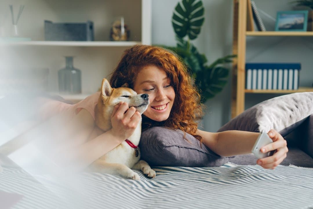 Lifetime Pet Insurance UK 2026 - How It Works and What It Costs