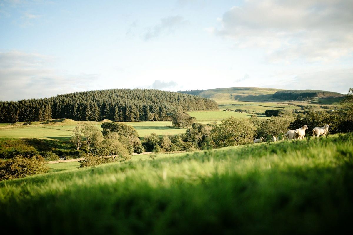 Holiday Home Insurance UK 2026: UK and Overseas Cover Compared