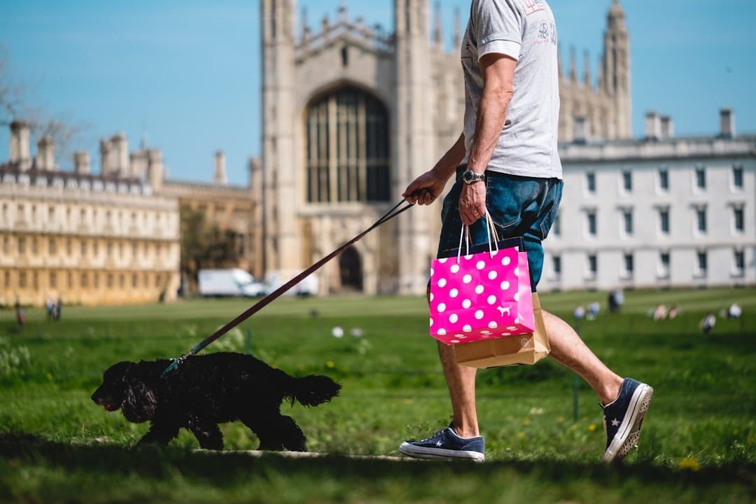 Argos Pet Insurance UK 2026: Contact, Claims & Complaints Process