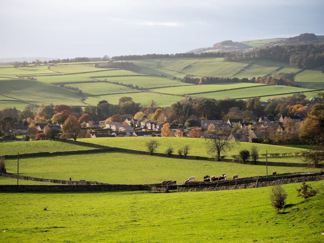 NFU Mutual Car Insurance Contact UK 2026: Phone, Claims & Complaints