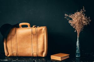 Cedar Tree Travel Insurance Review 2026: Cover, Underwriter and Limits