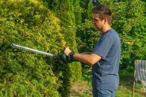 Public Liability Insurance for Gardeners UK: A Practical Guide