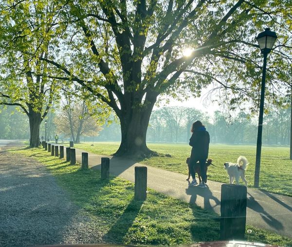 Public Liability Insurance for Dog Walkers UK 2026