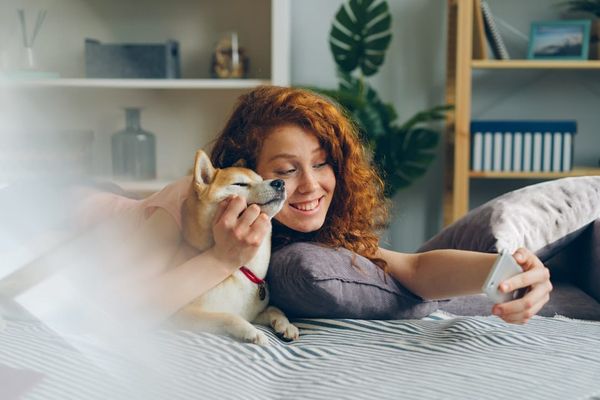 Lifetime Pet Insurance UK 2026 - How It Works and What It Costs