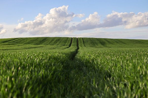 IHT and Farms April 2026: APR/BPR Cap Changes Explained