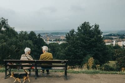 an elderly couple sitting on a bench with a dog