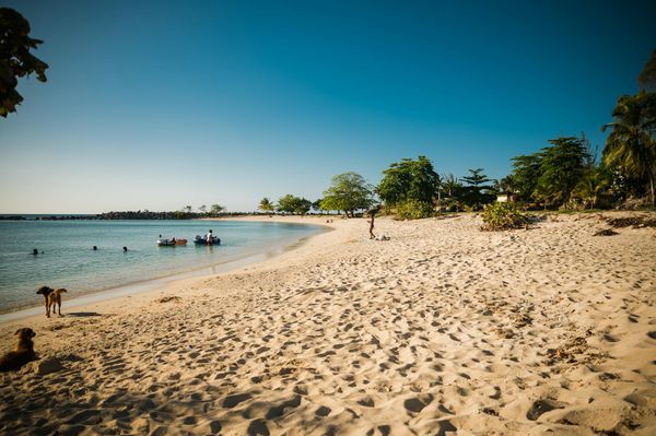 UK Visa from Jamaica 2026: Routes, Fees, Biometric Centres and Processing Times