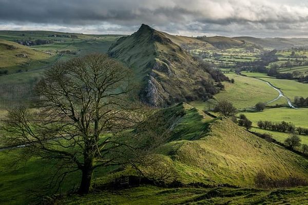 Provision for (100) Surveys and Investigations — Derbyshire County Council | Bidding Guide 2026