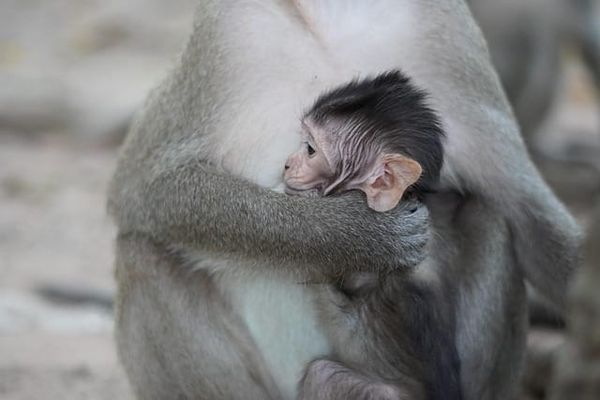 UK Shared Parental Leave Explained