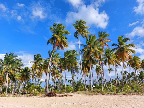 Best Travel Insurance for the Caribbean UK 2026