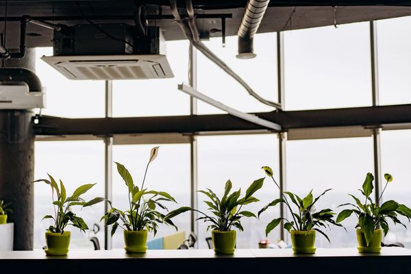 How to Compare Business Energy Suppliers in the UK