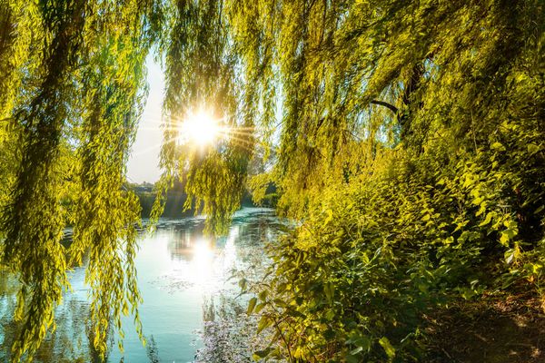 June Heatwave UK 2026: Temperature Forecasts, Health Risks and Financial Impact