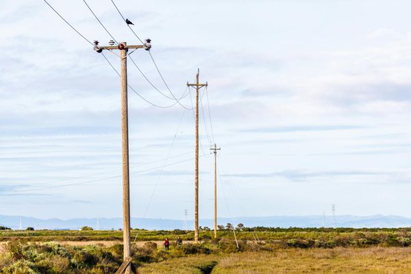 Pole Damage: Who to Contact About a Damaged Telephone Pole