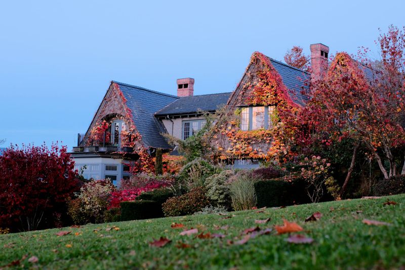 British home exterior with terraced architecture