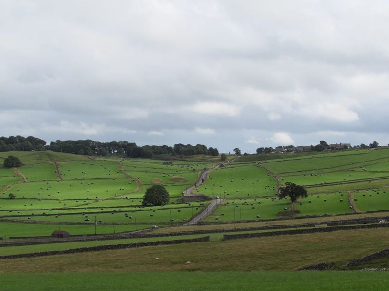 NFU Car Insurance Review UK 2026: Pros, Cons & Verdict