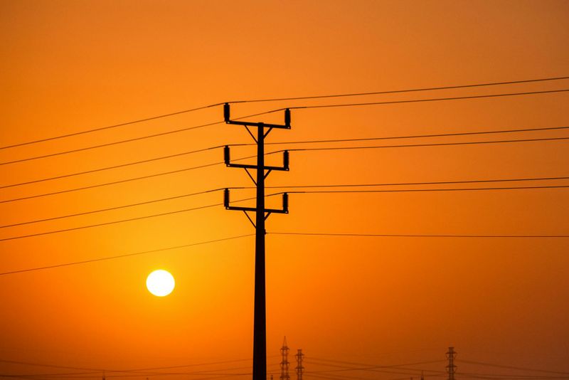Telegraph Pole Removal: Who Is Responsible and What to Do post image