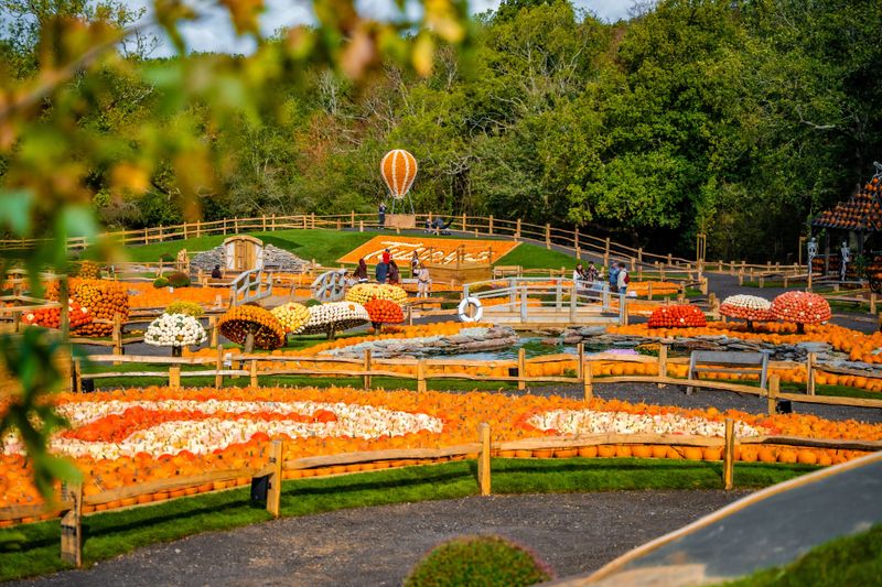 Pumpkin displays at Tulleys Pumpkin Festival, West Sussex