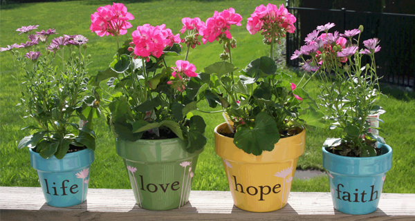Why I Like Perennial Flowers for Those Who Are Grieving