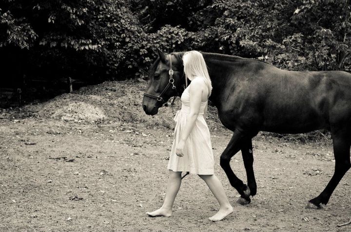 The Presence of an Animal