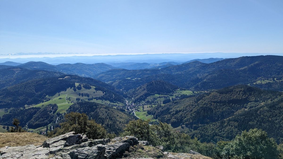 Schwarzwald