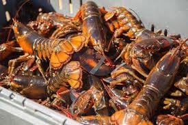 $400K in lobster meat destined for Costco stores in Illinois stolen: broker
