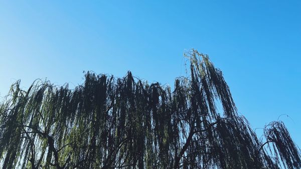 2024 BSSM阿根廷短宣紀錄-Cordoba篇