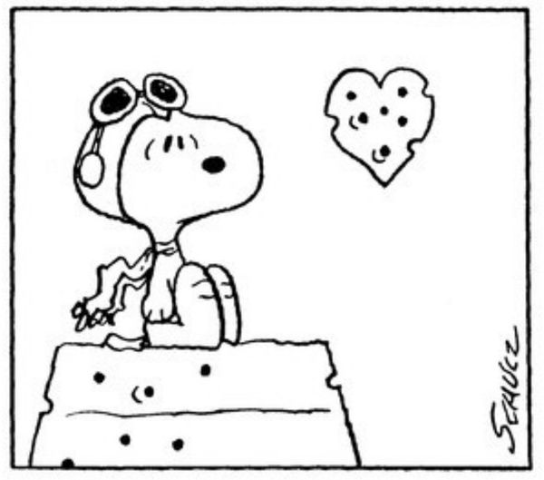 Odds & Ends (2/14/25)