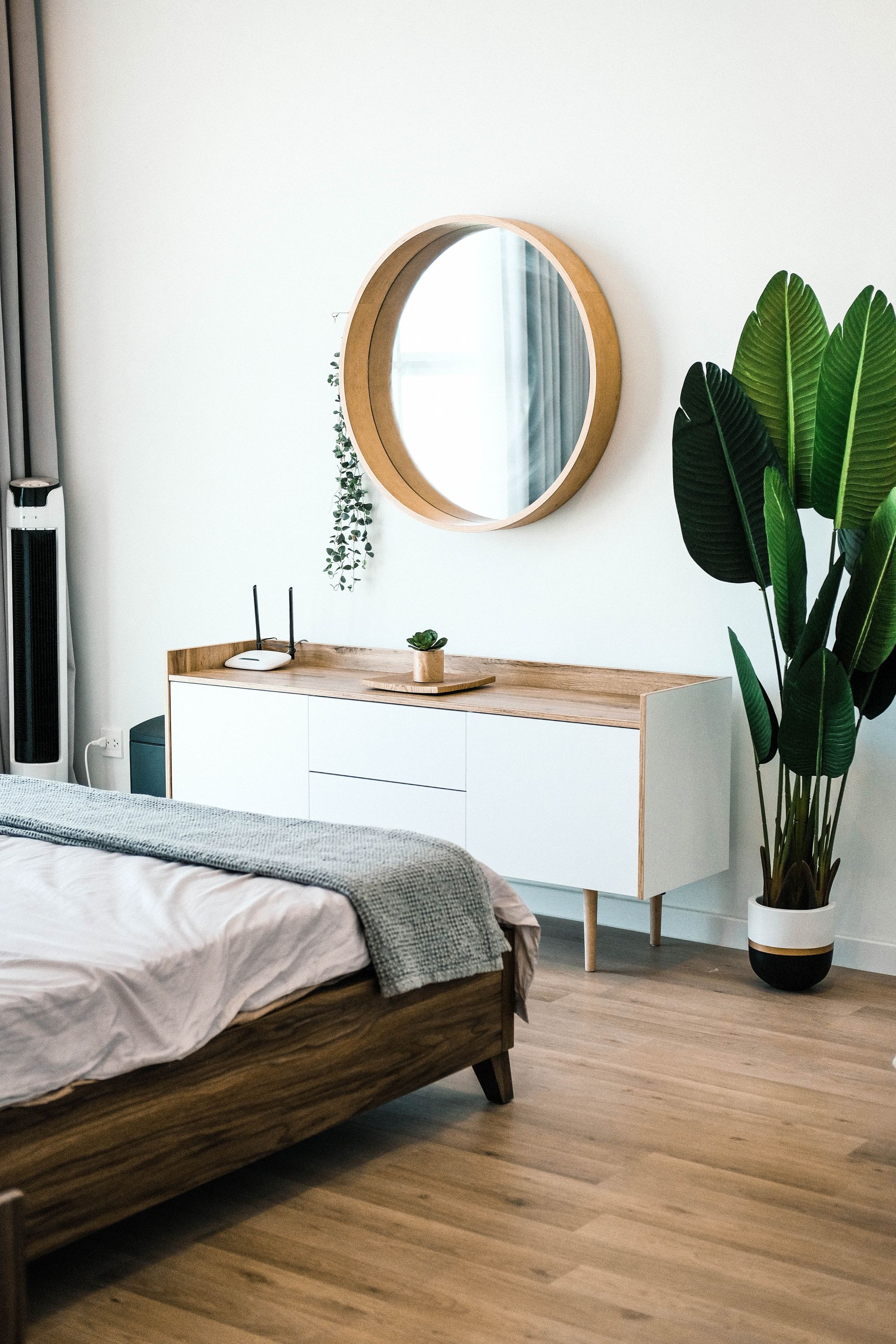 Indoor air purifier houseplants for clean air