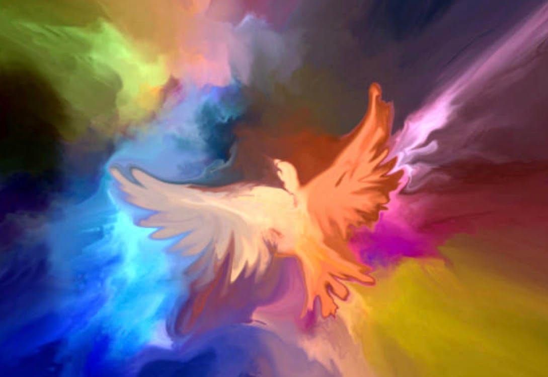 The Phoenix – Rising Again