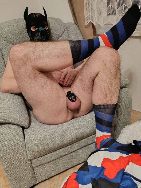 Where are the Pups? Pissers? Punks?