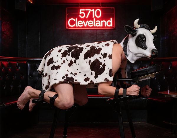Milking my Herd