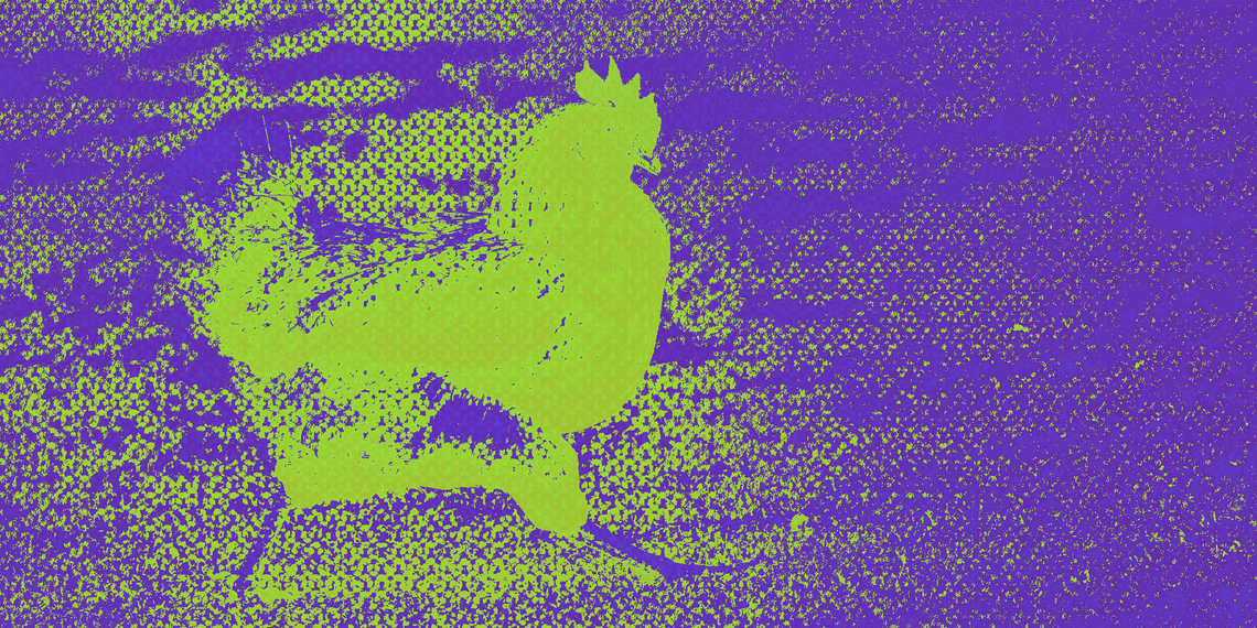 Fowl
