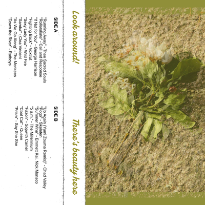 Look Around!  There's Beauty Here.