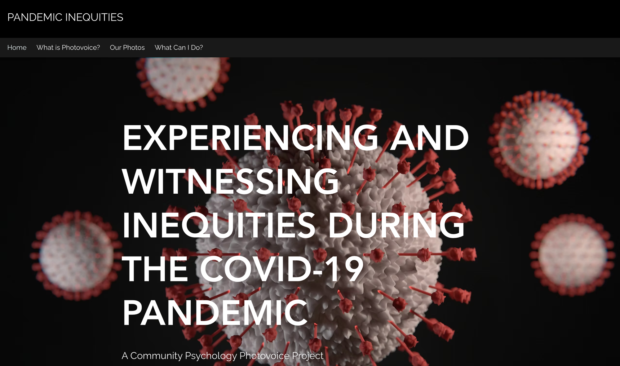 screenshot of the homepage for the website linked above