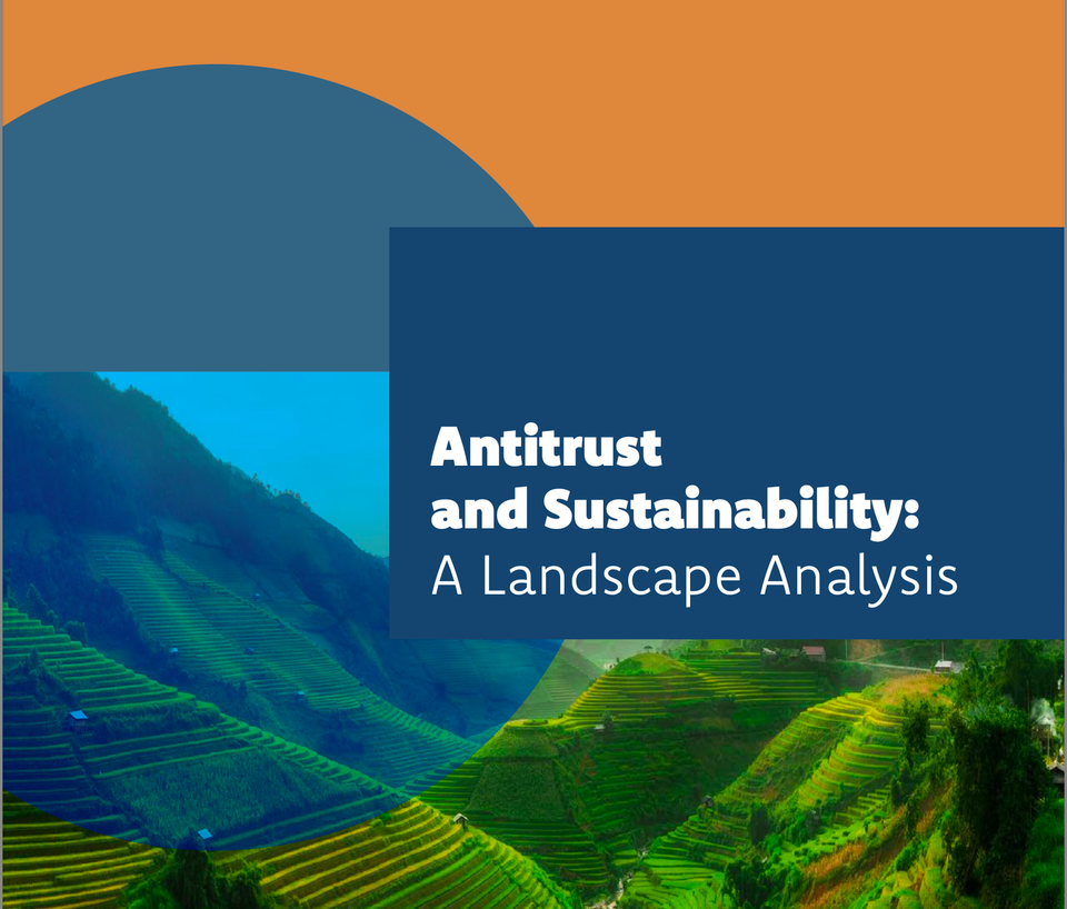 New Report – Sustainability and Antitrust: A Landscape Analysis